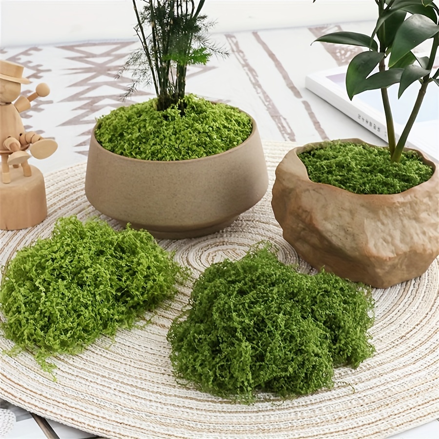 Terrarium Moss Art - 1 confezione di muschio finto artificiale,