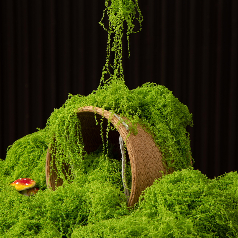Terrarium Moss Art - Muschio Eterno 200g per Artigianato Fai-da-Te,
