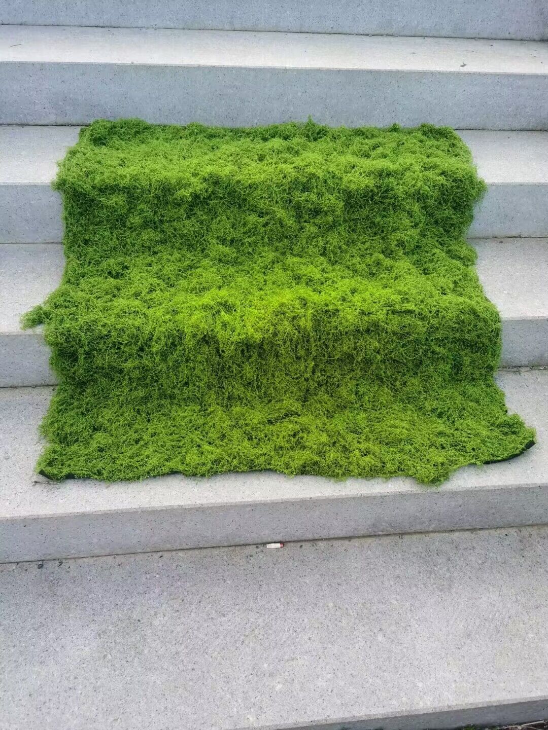 Terrarium Moss Art - Aqumotico Erba Artificiale Simulazione Muschio Prato