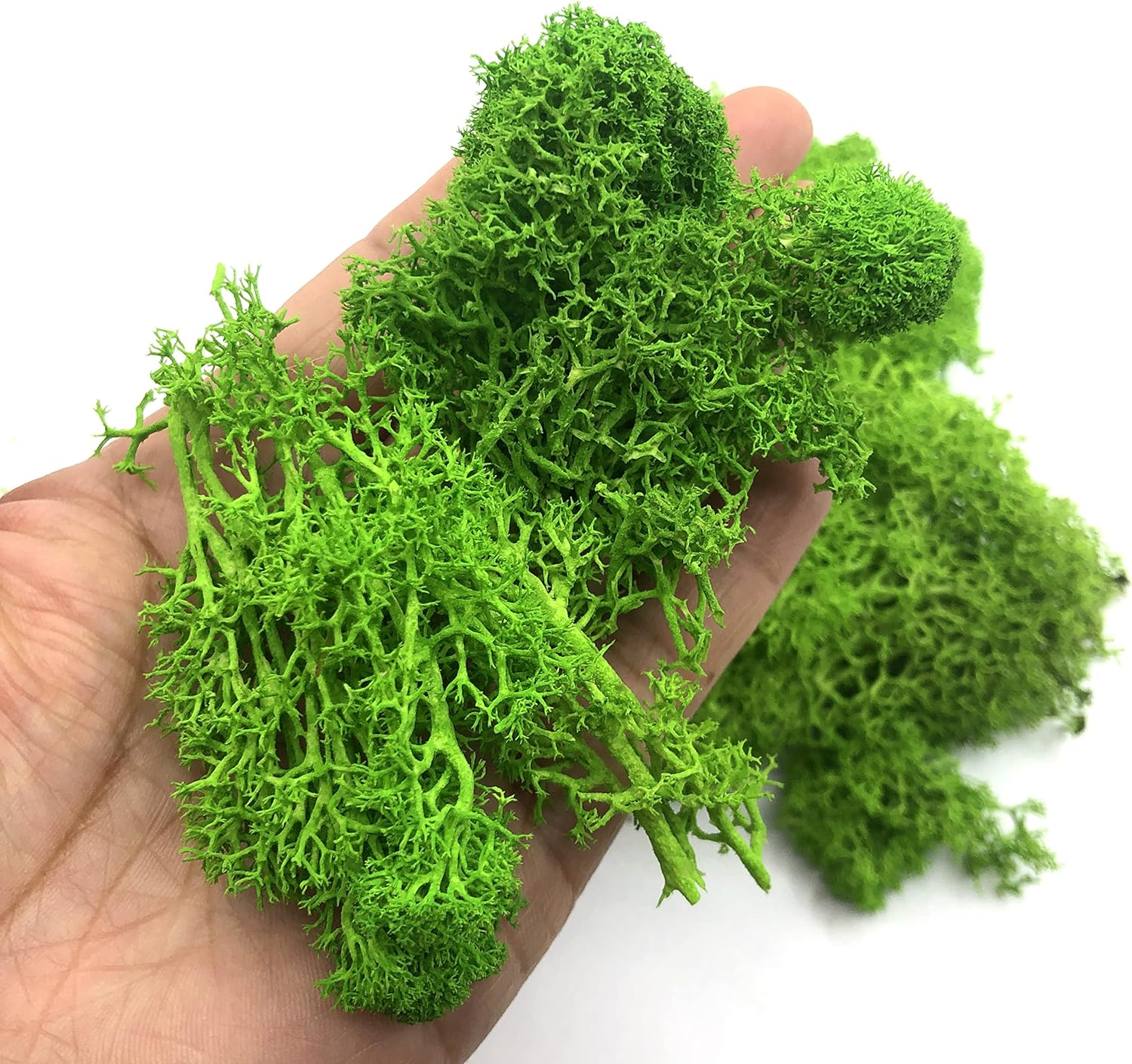 Terrarium Moss Art - 200g Piante verdi artificiali Mini Paesaggio