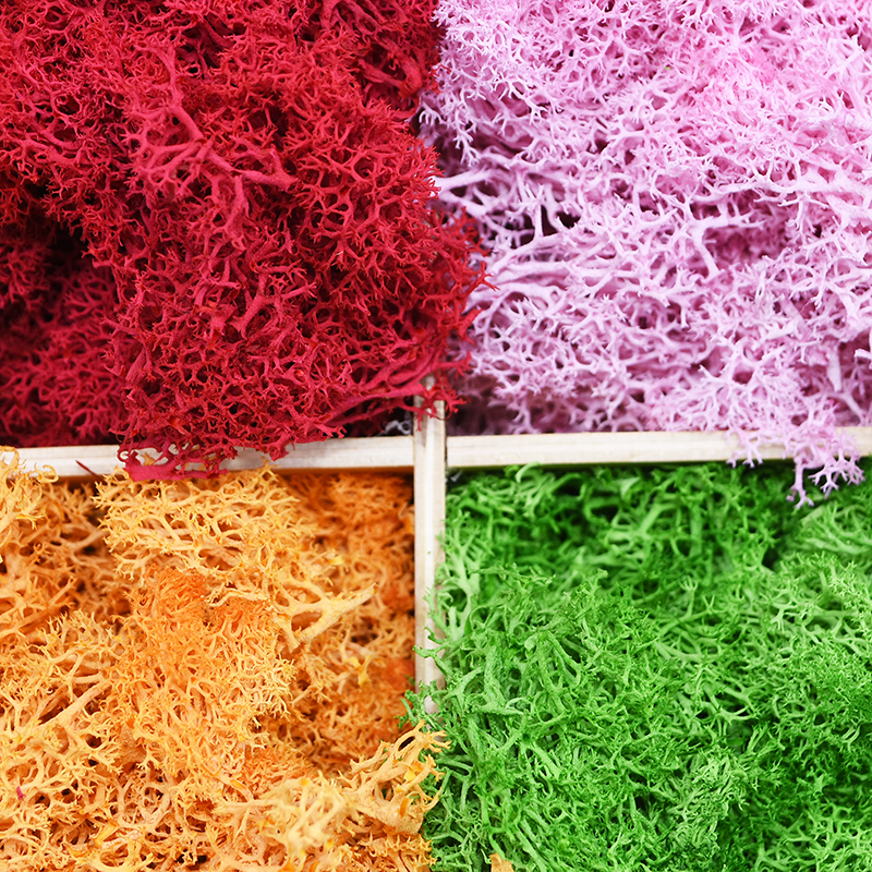 20/40g Piante verdi artificial - Terrarium Moss Art recensione e prezzo