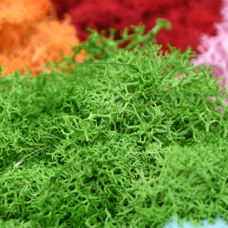 20/40g Piante verdi artificial - Terrarium Moss Art recensione e prezzo