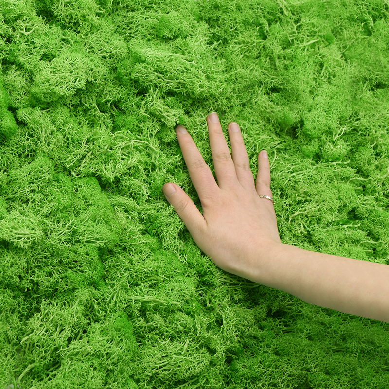 20/40g Piante verdi artificial - Terrarium Moss Art recensione e prezzo