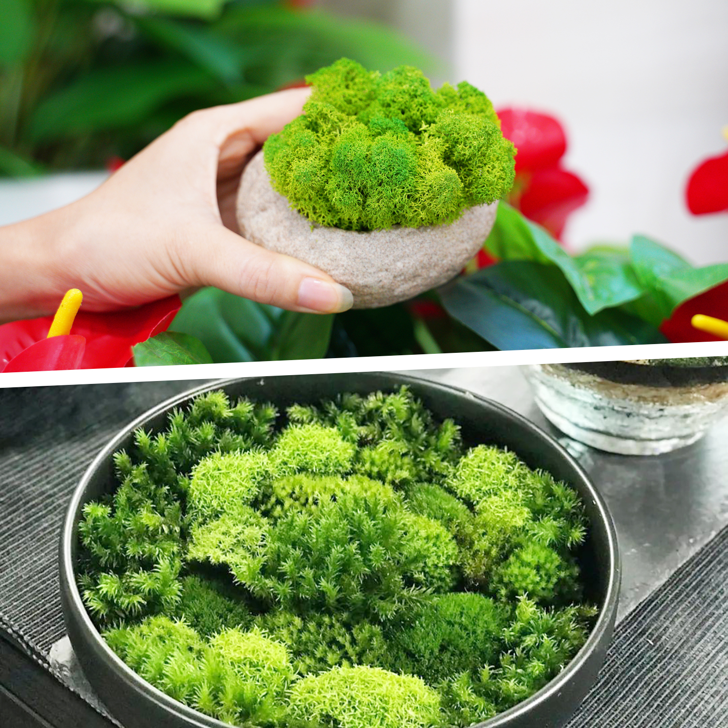 Piante verdi artificiali Vita  - Terrarium Moss Art recensione e prezzo