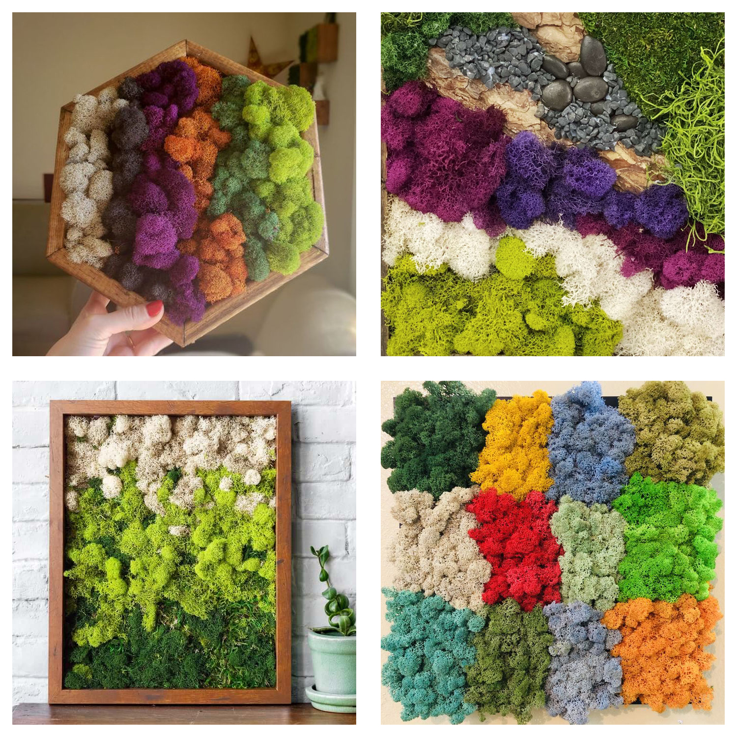 Piante verdi artificiali Vita  - Terrarium Moss Art recensione e prezzo