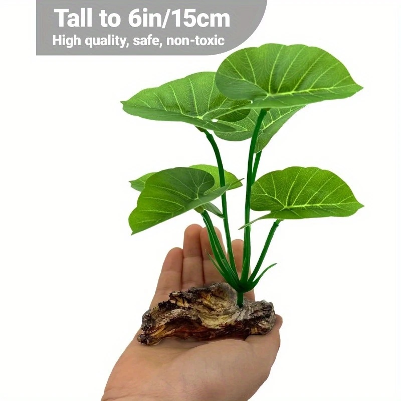 1 pz piante d'acquario artific - Terrarium Moss Art recensione e prezzo