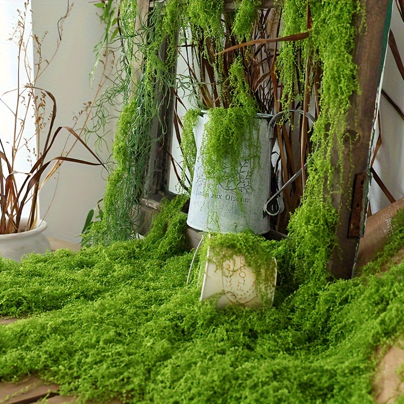 1 confezione di muschio finto  - Terrarium Moss Art recensione e prezzo