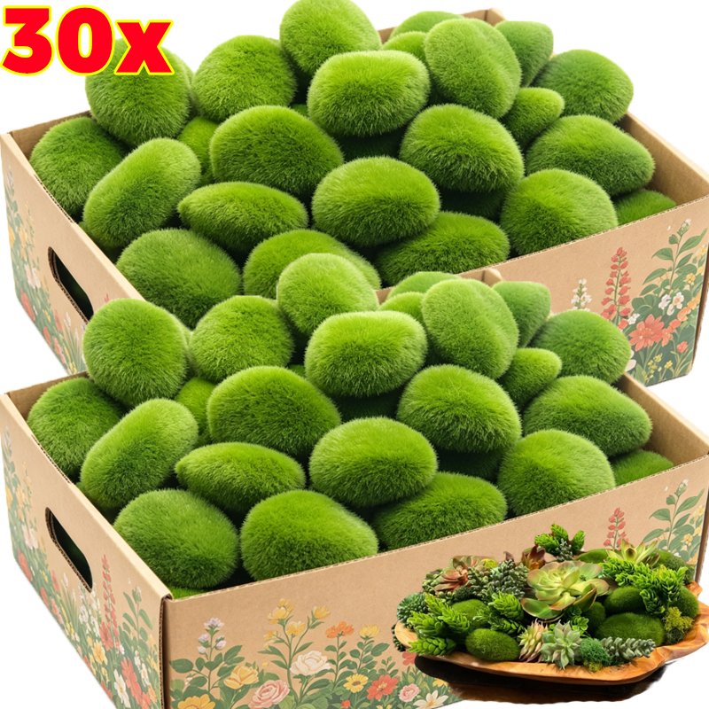 5/30 pz Pietre di Muschio Arti - Terrarium Moss Art recensione e prezzo