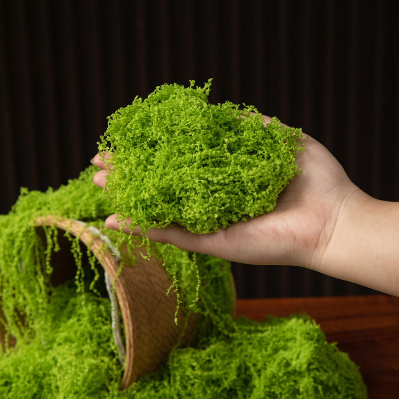 Muschio Eterno 200g per Artigi - Terrarium Moss Art recensione e prezzo