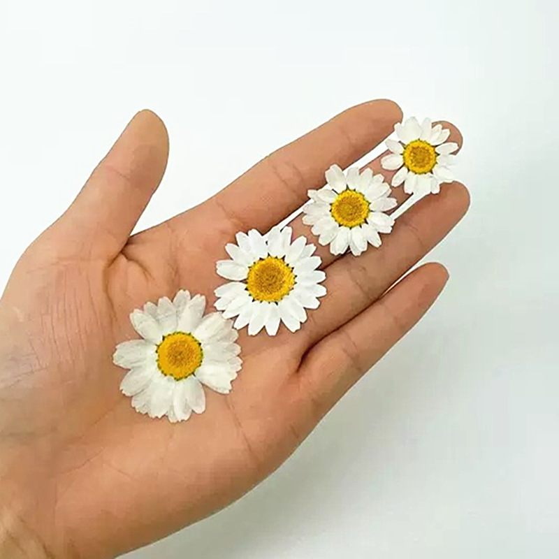100 Pezzi di Fiori Secchi Natu - Resin Craft Ideas recensione e prezzo