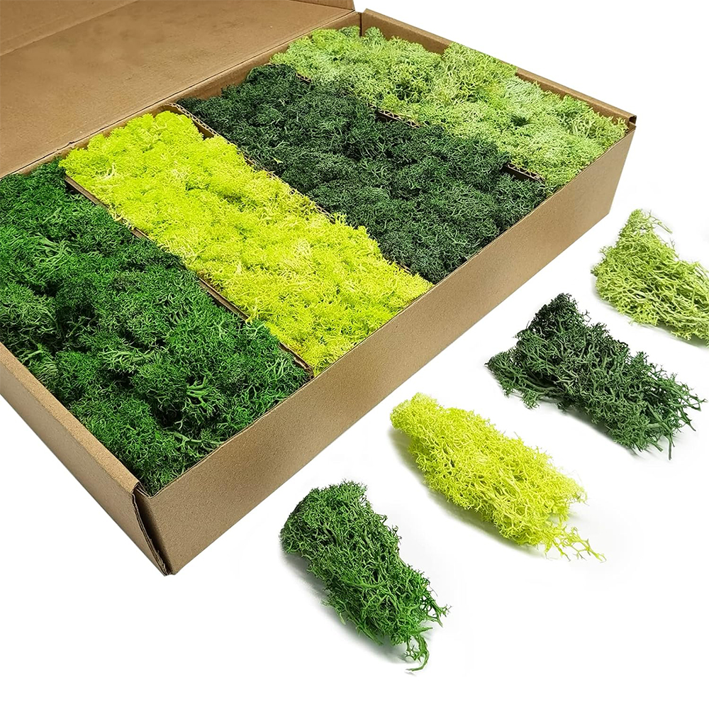 Piante verdi artificiali Vita  - Terrarium Moss Art recensione e prezzo