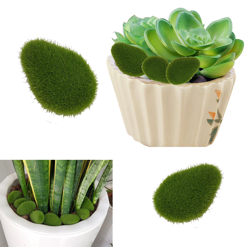 30 pezzi di rocce di muschio a - Terrarium Moss Art recensione e prezzo