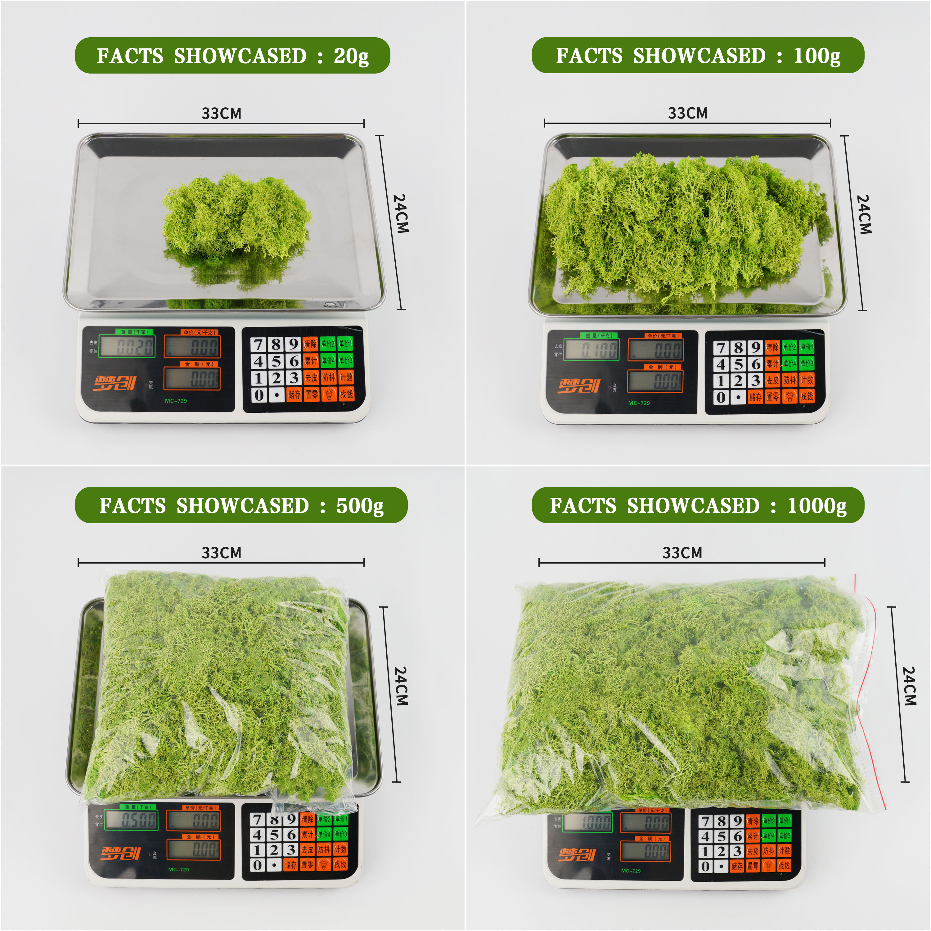 Muschio Eterno 100/200/500g pe - Terrarium Moss Art recensione e prezzo