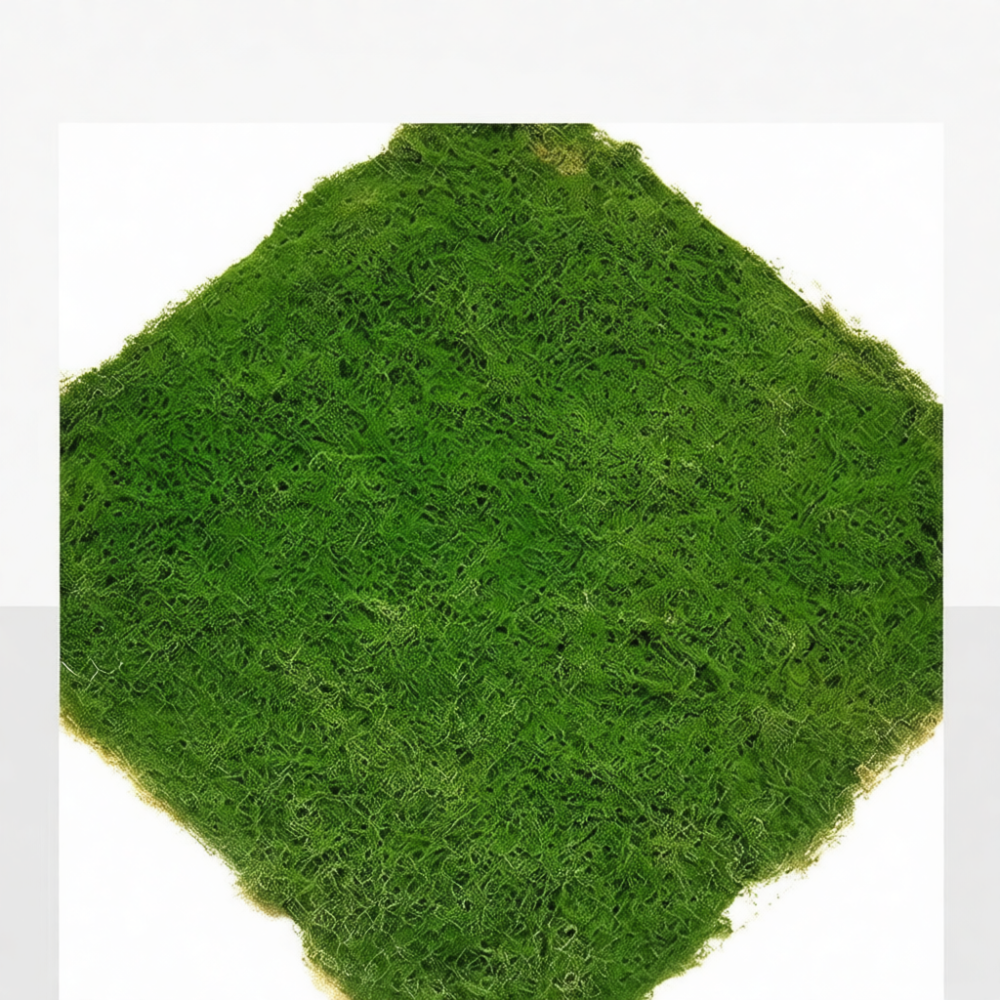 Tappeto di muschio sintetico,  - Terrarium Moss Art recensione e prezzo