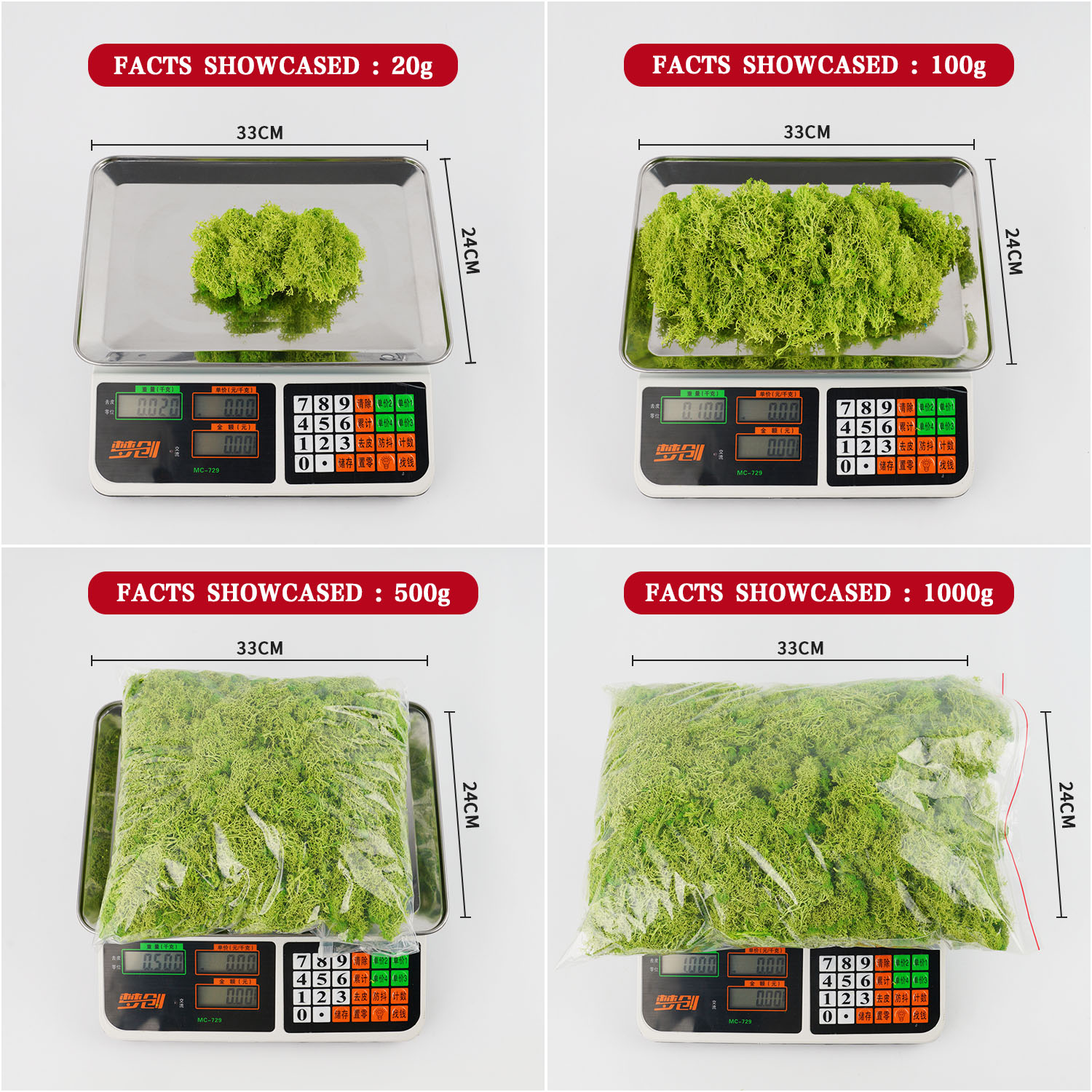 200g Piante verdi artificiali  - Terrarium Moss Art recensione e prezzo