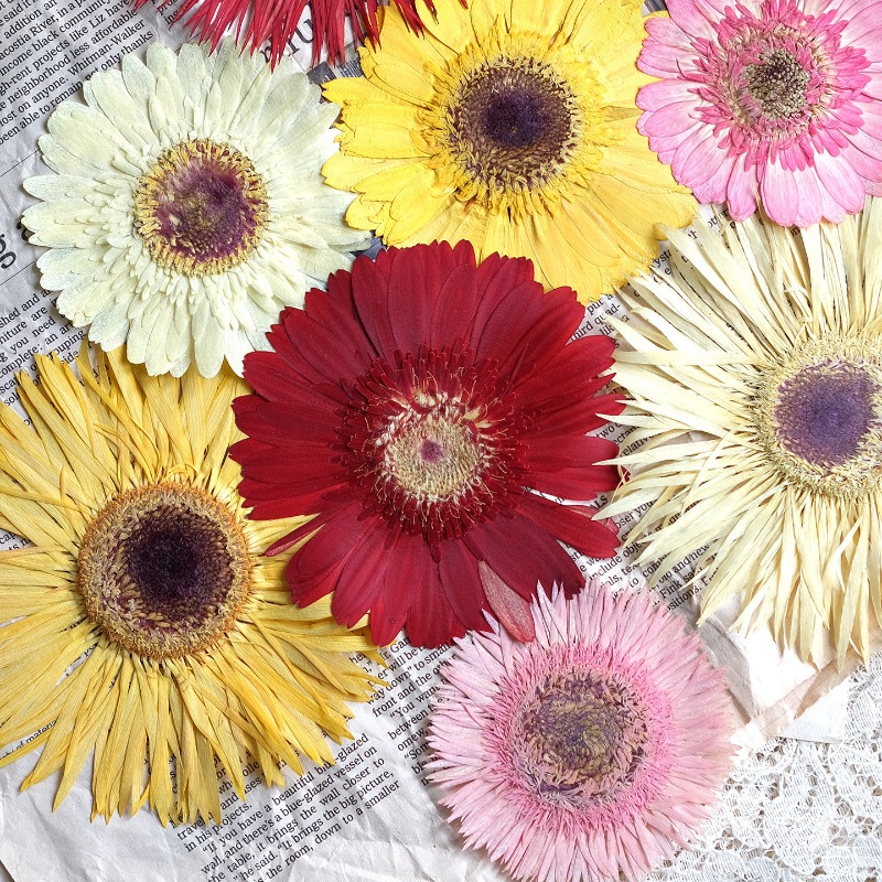 1 pz/7-9 cm, Gerbera pressata  - Resin Craft Ideas recensione e prezzo