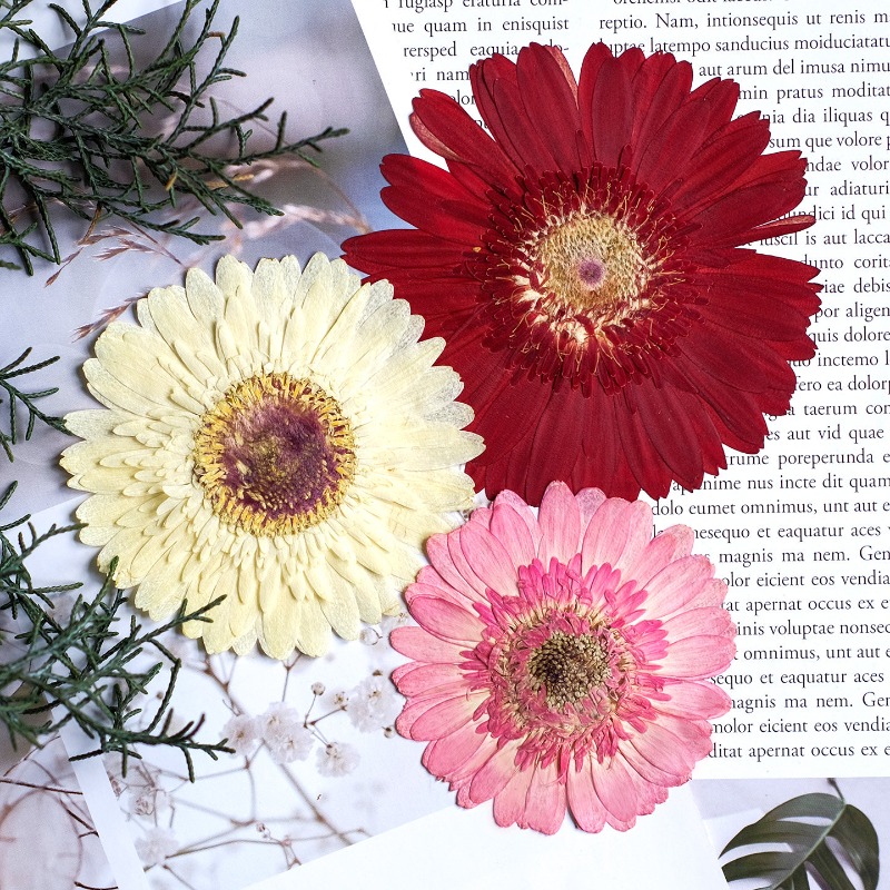 1 pz/7-9 cm, Gerbera pressata  - Resin Craft Ideas recensione e prezzo