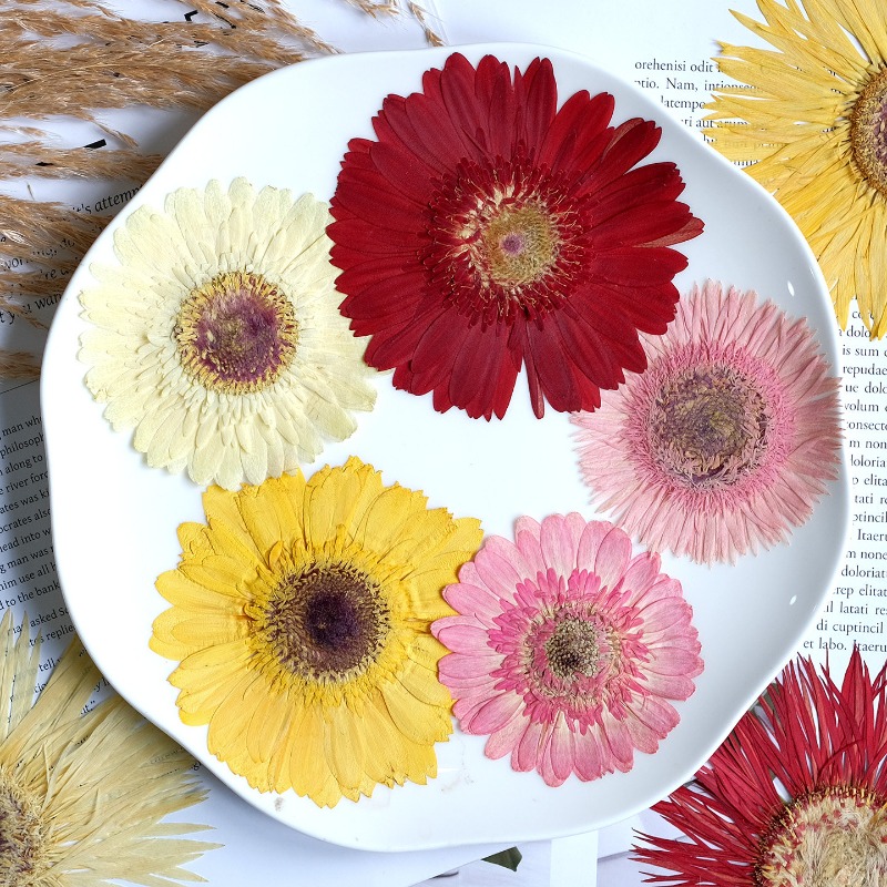 1 pz/7-9 cm, Gerbera pressata  - Resin Craft Ideas recensione e prezzo