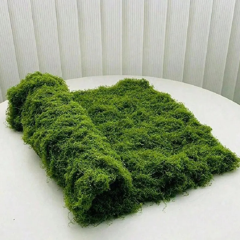 Muschio artificiale per decora - Terrarium Moss Art recensione e prezzo