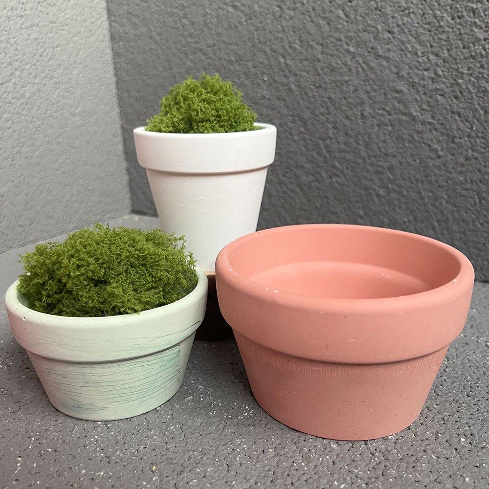 Grande vaso per piante in calc - Coaster Mold Round recensione e prezzo