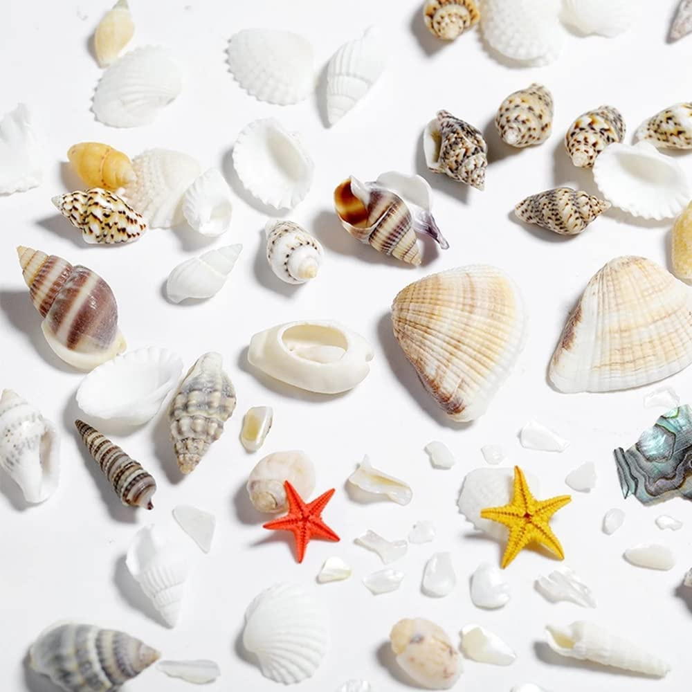 1 scatola di conchiglie di mar - Resin Ocean Wave Mold recensione e prezzo