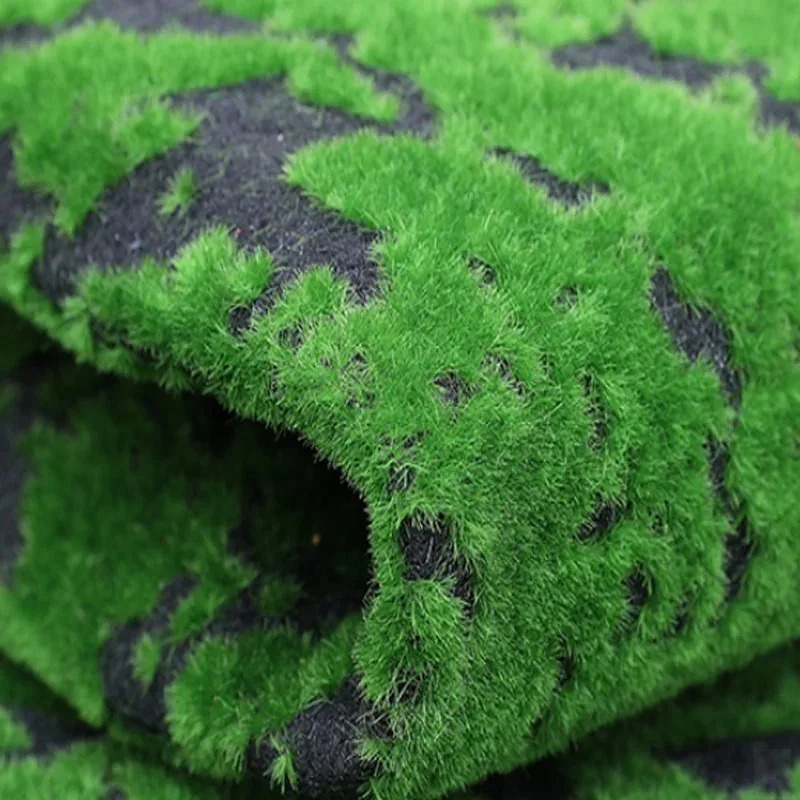 Tappeto in Erba Sintetica 50x5 - Terrarium Moss Art recensione e prezzo