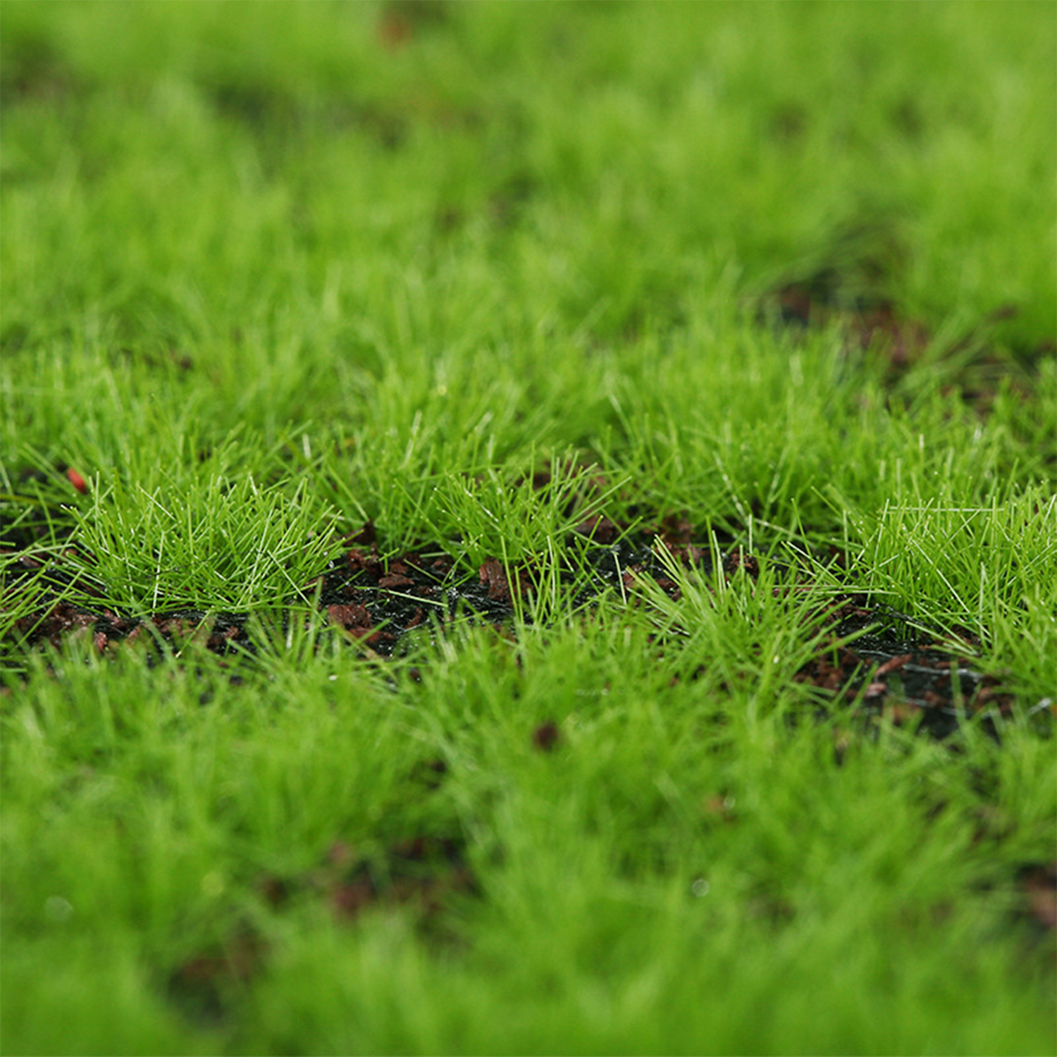 Muschio artificiale Turf Simul - Terrarium Moss Art recensione e prezzo